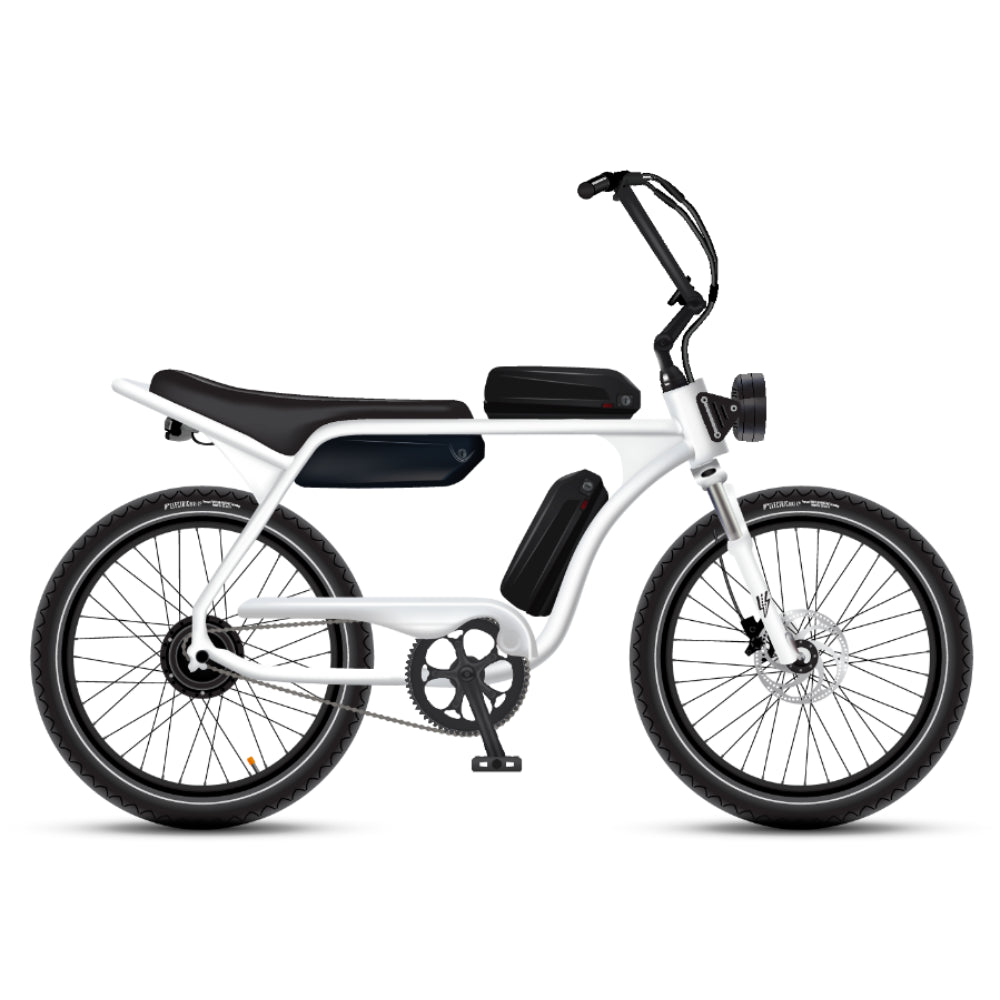 Electric Bike Company Model J 48V12-36Ah750W 24x3" Tires Step-Over Electric Bike