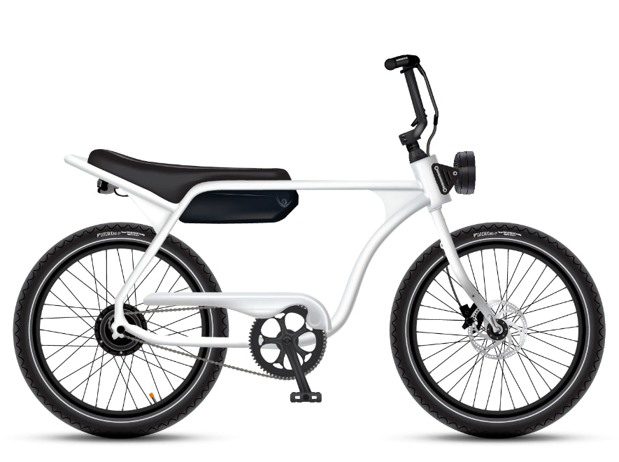 Electric Bike Company Model J 48V12-36Ah750W 24x3" Tires Step-Over Electric Bike