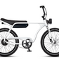 Electric Bike Company Model J 48V12-36Ah750W 24x3" Tires Step-Over Electric Bike