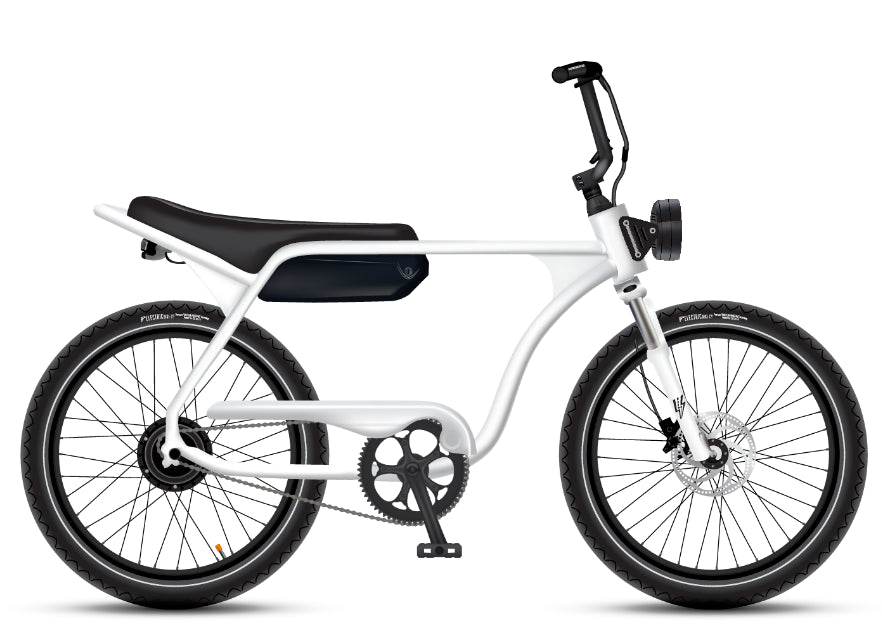 Electric Bike Company Model J 48V12-36Ah750W 24x3" Tires Step-Over Electric Bike