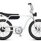 Electric Bike Company Model J 48V12-36Ah750W 24x3" Tires Step-Over Electric Bike