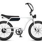 Electric Bike Company Model J 48V12-36Ah750W 24x3" Tires Step-Over Electric Bike