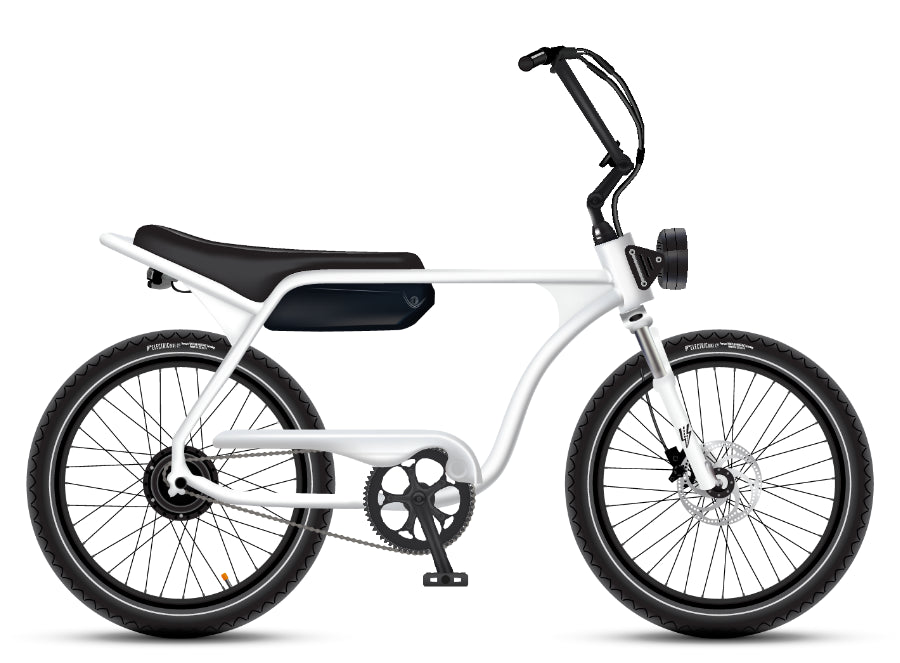 Electric Bike Company Model J 48V12-36Ah750W 24x3" Tires Step-Over Electric Bike