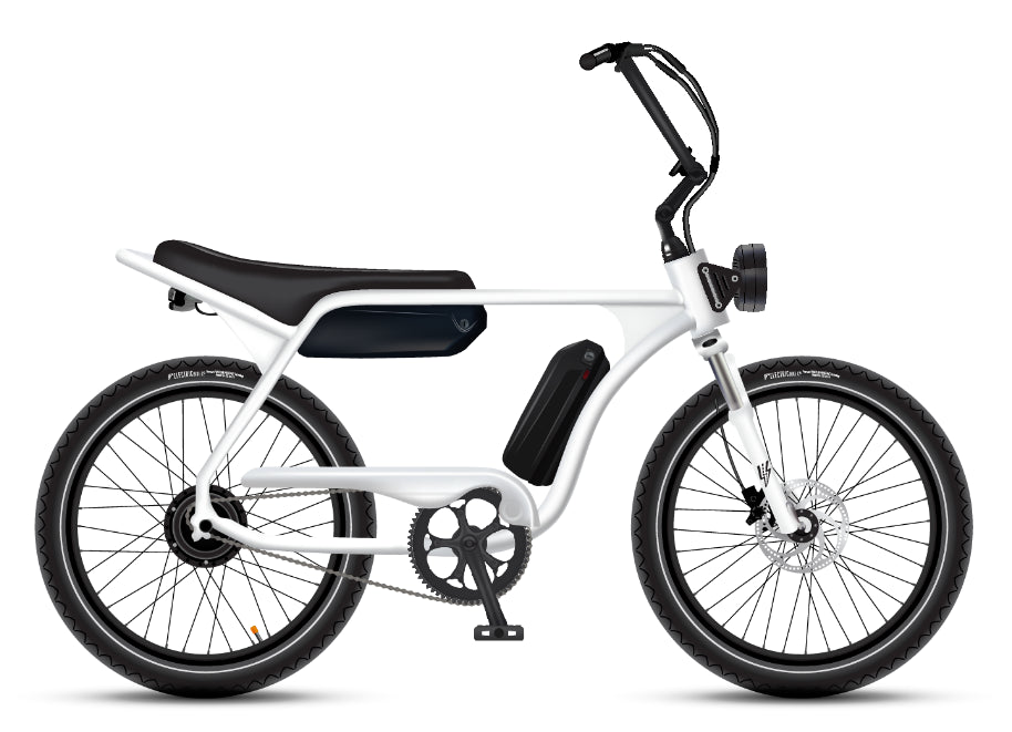 Electric Bike Company Model J 48V12-36Ah750W 24x3" Tires Step-Over Electric Bike