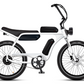 Electric Bike Company Model J 48V12-36Ah750W 24x3" Tires Step-Over Electric Bike