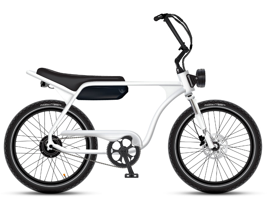 Electric Bike Company Model J 48V12-36Ah750W 24x3" Tires Step-Over Electric Bike