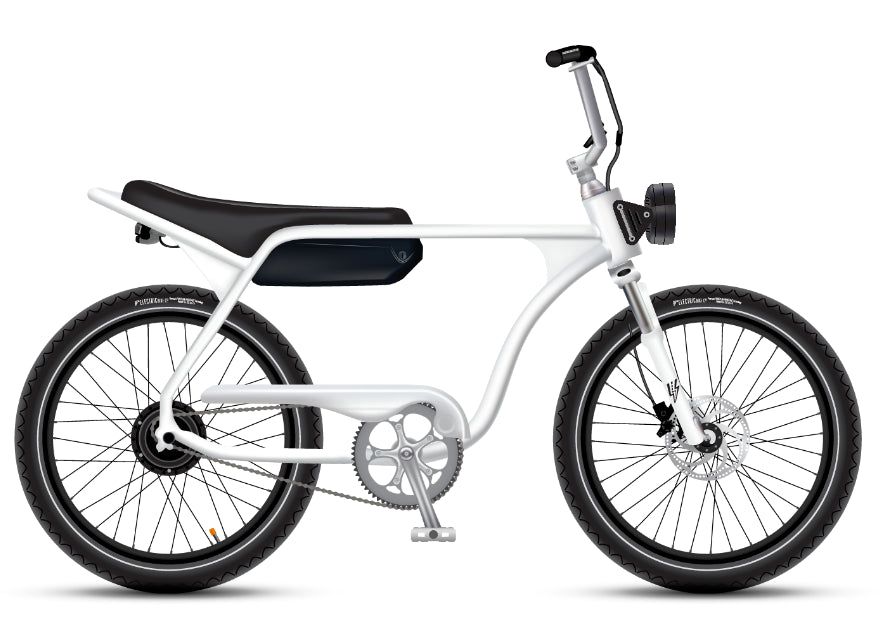 Electric Bike Company Model J 48V12-36Ah750W 24x3" Tires Step-Over Electric Bike