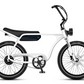 Electric Bike Company Model J 48V12-36Ah750W 24x3" Tires Step-Over Electric Bike