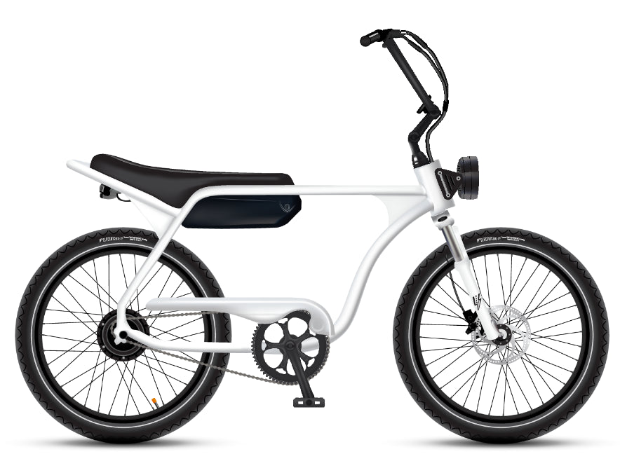 Electric Bike Company Model J 48V12-36Ah750W 24x3" Tires Step-Over Electric Bike