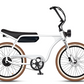 Electric Bike Company Model J 48V12-36Ah750W 24x3" Tires Step-Over Electric Bike