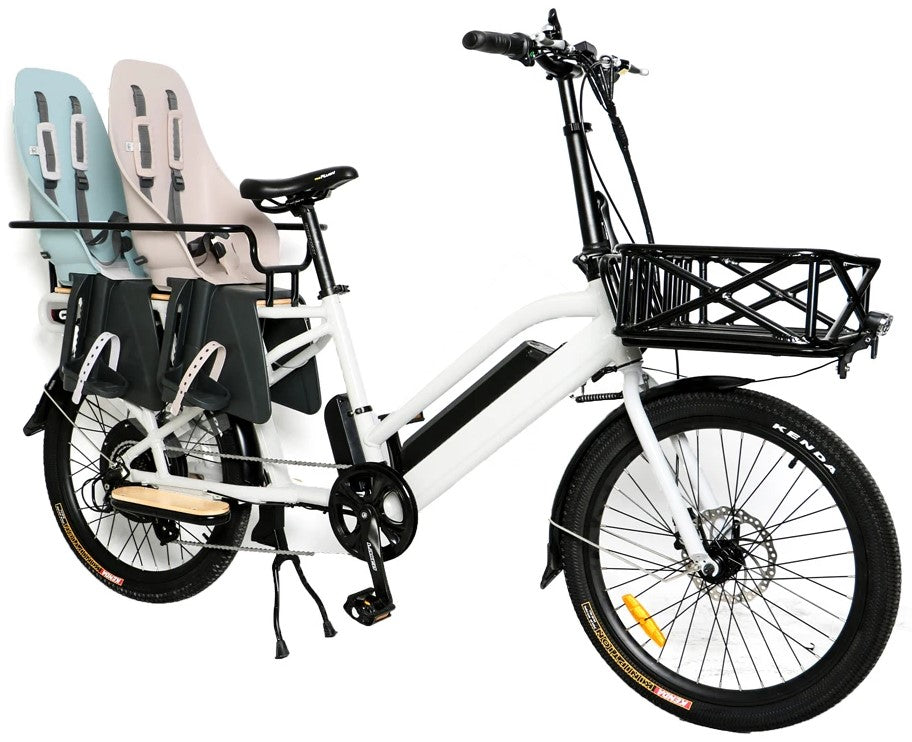 Eunorau Max-Cargo Electric Bike