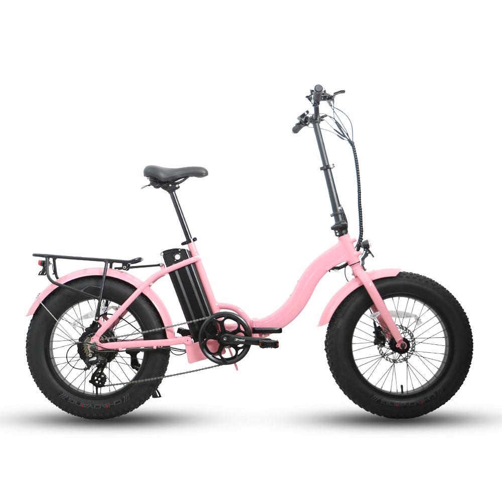 Eunorau E-Fat-Step Electric Bike