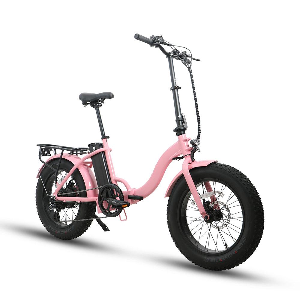 Eunorau E-Fat-Step Electric Bike