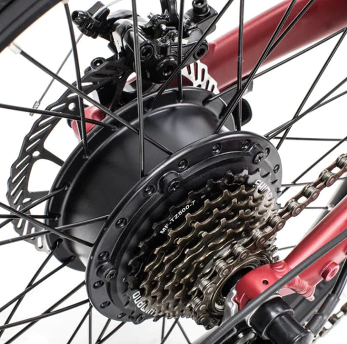 Qualisports Volador Motor and Derailleur