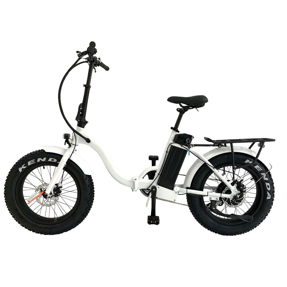 Eunorau E-Fat-Step Electric Bike