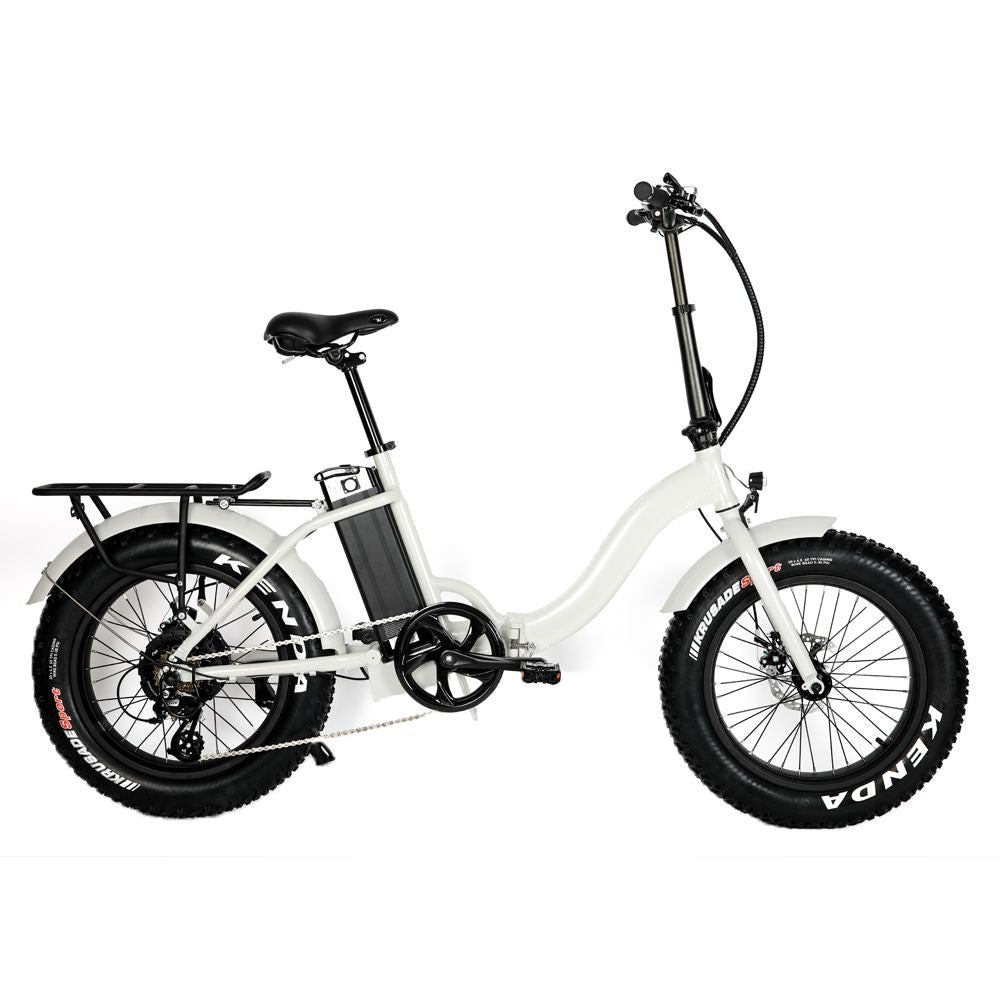 Eunorau E-Fat-Step Electric Bike