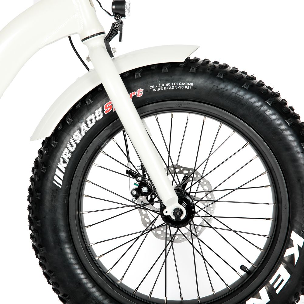 Eunorau E-Fat-Step Electric Bike, Disk Brake