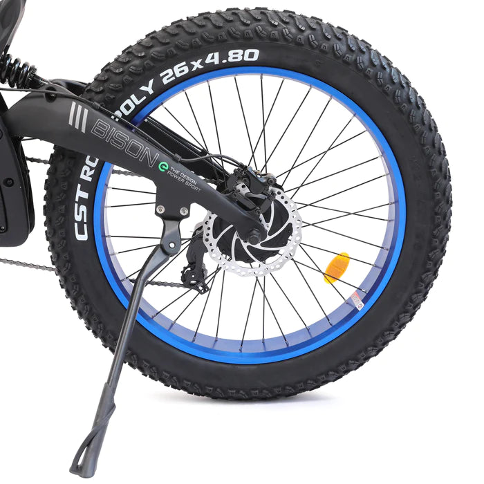 Ecotric Bison All Terrain 48V1000W18Ah 26x4.8" Fat Tire Mountain Ebike